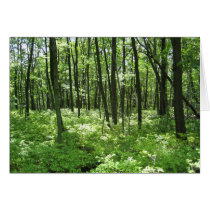 The Forest cards