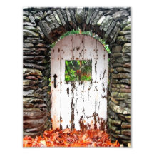 The Forest Door Art Photo