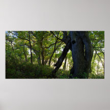 The Forest Posters