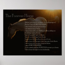The Forever Horse posters