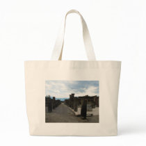 The FORUM OF POMPEII - Column fragments bags