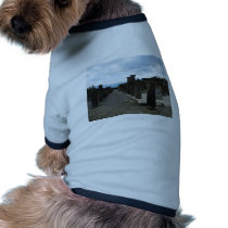 The FORUM OF POMPEII - Column fragments pet clothing
