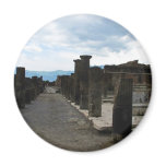 The FORUM OF POMPEII - Column fragments magnets