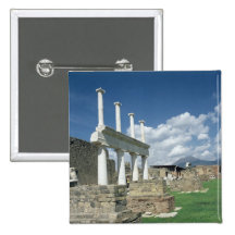 The Forum Pin