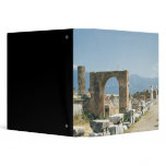 The Forum with the mountains in the background Binders