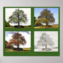 The Four Seasons Print