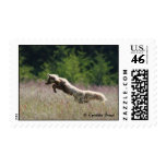 The Fox Hunts Stamp