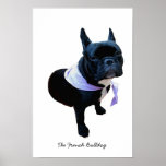 The French Bulldog posters