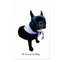 The French Bulldog posters by digitaled The French Bulldog posters
