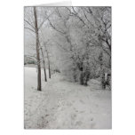 The Frosty Path Card