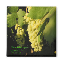 The fruit of the righteous is a tree of... magnets