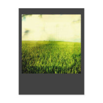 The Future looks bright postcards