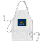 The Gambia President Flag aprons