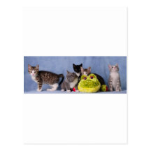 The gang postcard