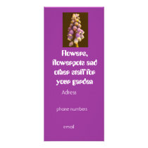 The Garden of Eden rack card rack cards