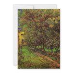 The Garden of Saint-Paul Hospital by van Gogh Custom Announcement