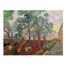 The Garden of St. Paul's Hospital Post Card