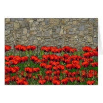 The Garden Wall cards by Clarence_Jones The Garden Wall cards