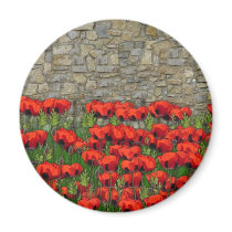 The Garden Wall magnets by Clarence_Jones The Garden Wall magnets