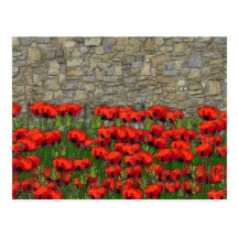 The Garden Wall Post Cards