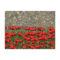 The Garden Wall postcards