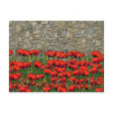 The Garden Wall postcards by Clarence_Jones The Garden Wall postcards