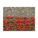The Garden Wall Post Cards