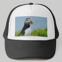 The Gatherer Puffin hats