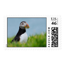 The Gatherer Puffin postage