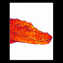 THE GATORS GLARE postcards