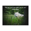 The gaze of the wolf reaches in... postcards by tompurse The gaze of the wolf reaches in... postcards