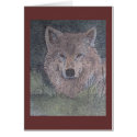 the gazing wolf cards