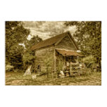 The General Store