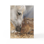 The Gift Greeting Cards