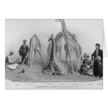 The Giraffes with the Arabs Greeting Cards