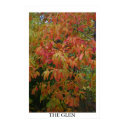 The Glen posters by photonut The Glen posters