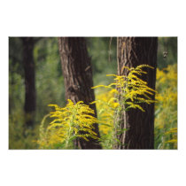 The gold photographic print