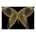 The Golden Butterfly posters