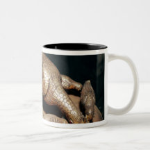 The Golden Hen and her Chicks Mug