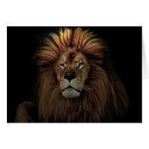 The golden lion cards