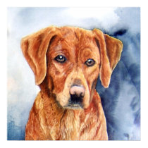 The Golden Retriever Fine Art Print