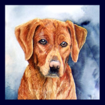The Golden Retriever Fine Art Print