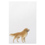The Golden Retriever Stationery