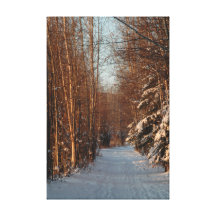 The Golden Winter Way Stretched Canvas Print