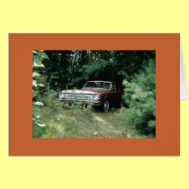 The Goldeneagle - 1964 dodge 330 cards