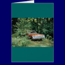 The Goldeneagle 1964 dodge 330 cards