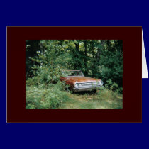 The Goldeneagle 1964 dodge 330 cards
