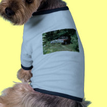 The Goldeneagle - 1964 dodge 330 pet clothing