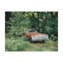 "The Goldenneagle" a 1964 dodge 330 postcards