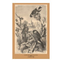 The Goldfinch, Eurasian Siskin, Bullfinch Peony posters by ZephyrusBooks The Goldfinch, Eurasian Siskin, Bullfinch Peony posters